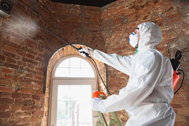 Best Comprehensive Air Testing for Mold Contaminants  in Madisonville, LA